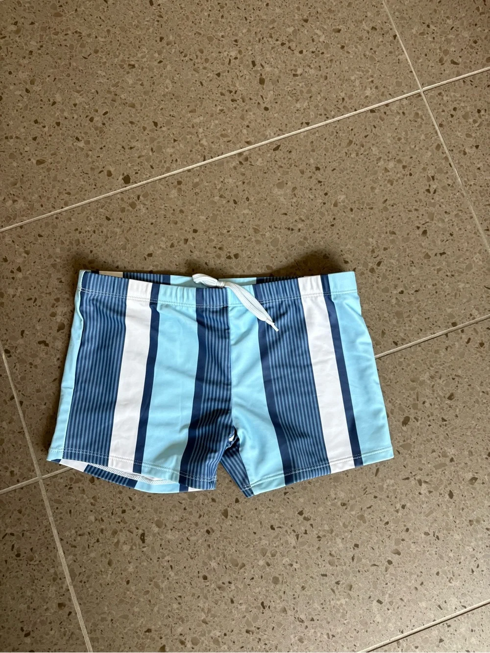 Easejuicy Men’s  Blue Striped Swim Shorts